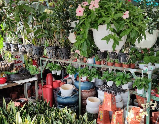 Znajdź odpowiedni dla siebie sklep ogrodniczy